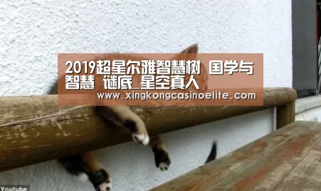 2019超星尔雅智慧树 国学与智慧 谜底_星空真人(图1) 星空官网