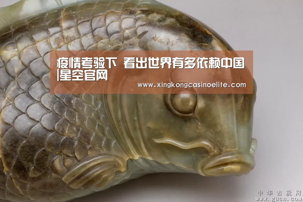 疫情考验下 看出世界有多依赖中国|星空官网(图1) 星空竞猜